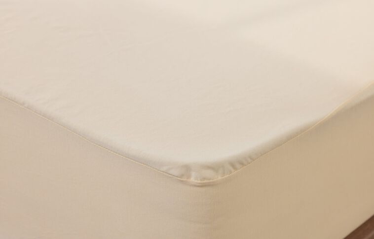 Organic Cotton Mattress Pad Protector by Avocado - Full