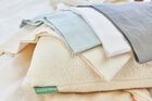 Avocado Organic Cotton 400 Thread Count Sheet Set